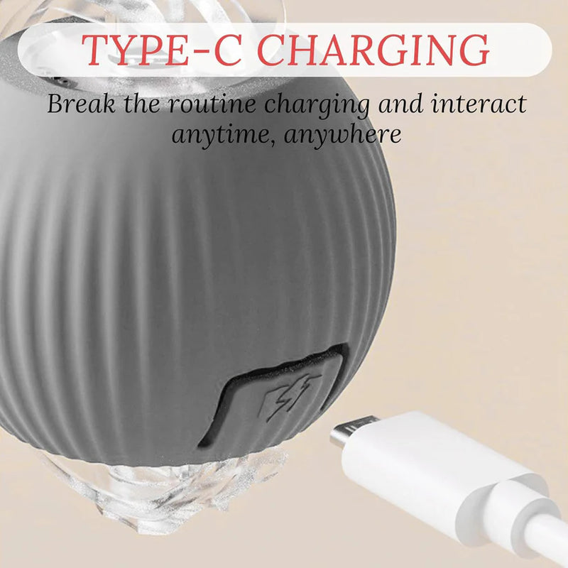 Rechargeable Interactive Cat/Dog Toy Ball with Detachable Braided Tail and LED Light