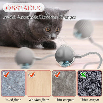 Rechargeable Interactive Cat/Dog Toy Ball with Detachable Braided Tail and LED Light