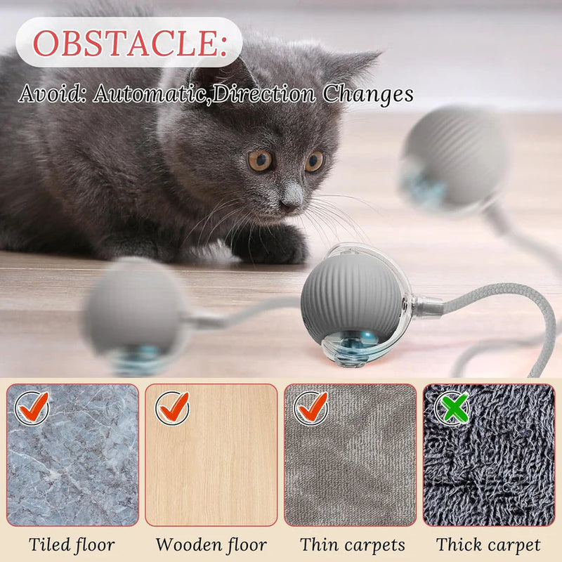 Rechargeable Interactive Cat/Dog Toy Ball with Detachable Braided Tail and LED Light
