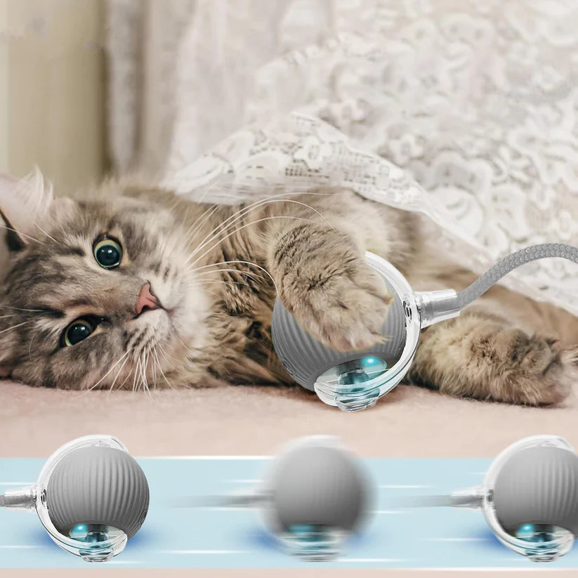 Rechargeable Interactive Cat/Dog Toy Ball with Detachable Braided Tail and LED Light