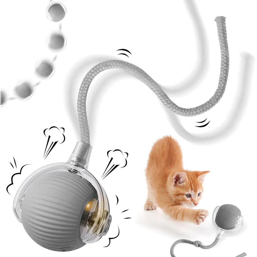 Rechargeable Interactive Cat/Dog Toy Ball with Detachable Braided Tail and LED Light