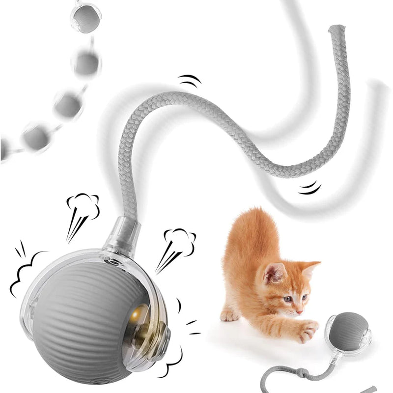 Rechargeable Interactive Cat/Dog Toy Ball with Detachable Braided Tail and LED Light