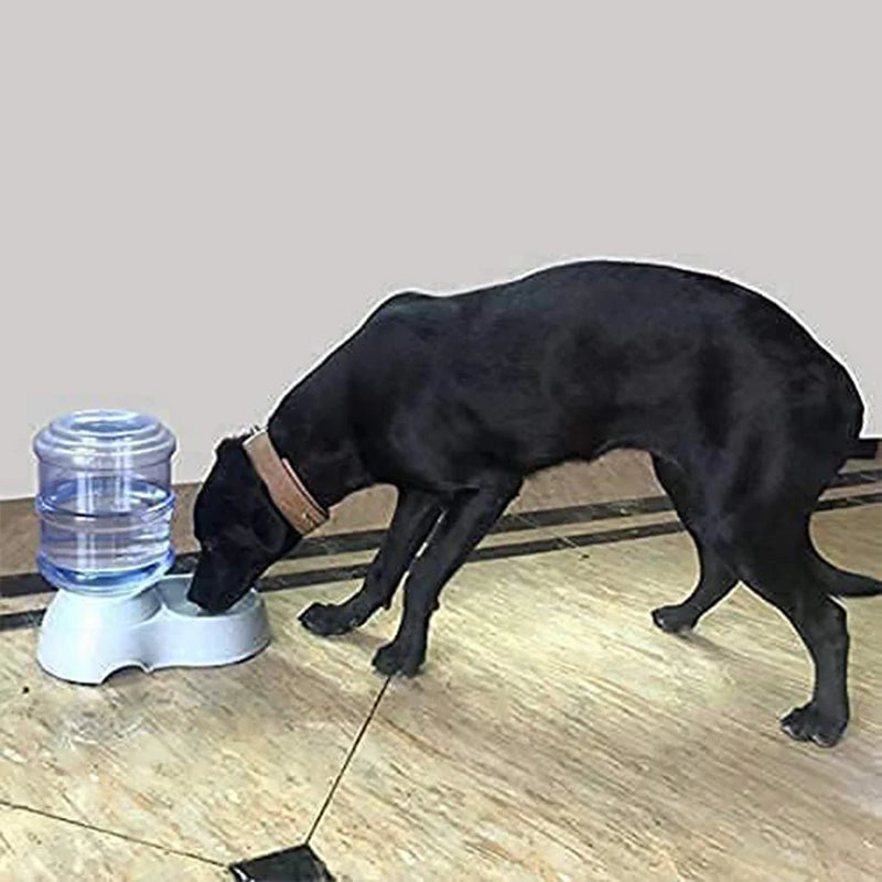 Automatic Pet Food/Water Dispenser