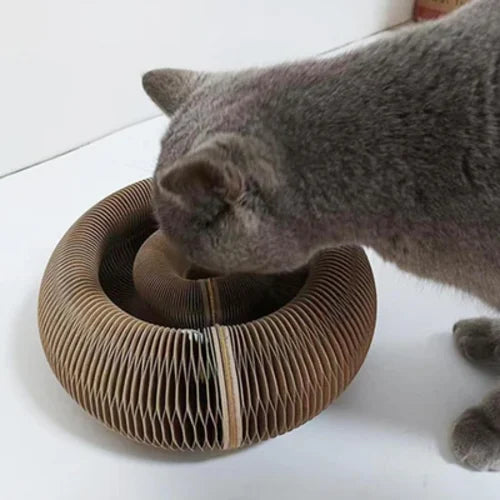Cat/dog Scratch Toy with Bell Ball, Magnetic Corrugated Cardboard, Interactive Toy