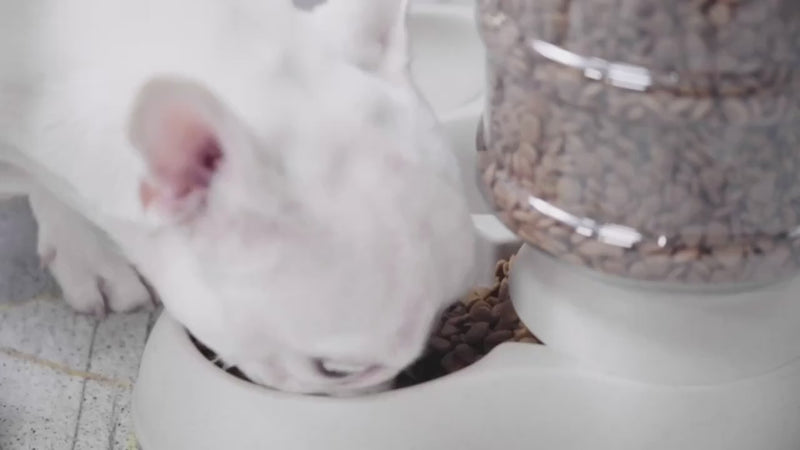 Automatic Pet Food/Water Dispenser